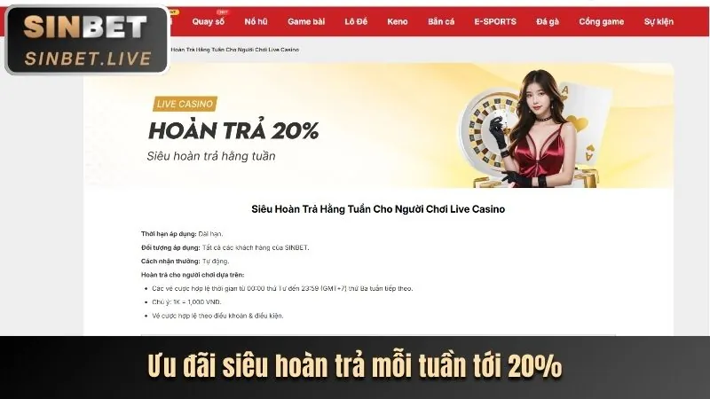 Các chương trình ưu đãi và khuyến mãi hấp dẫn tại banca29